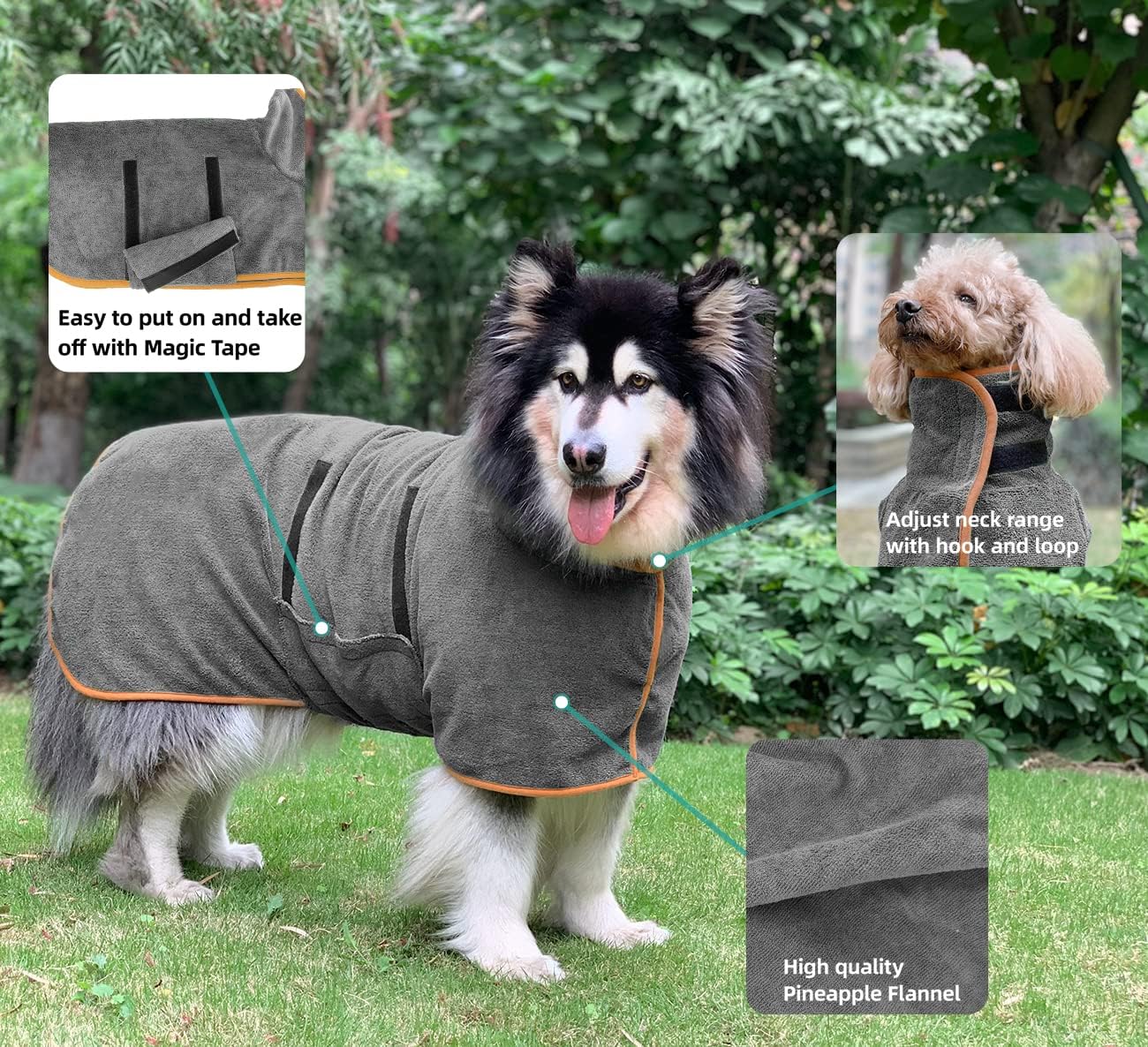 Grey dog bathrobe with orange piping, adjustable strap, and Velcro closure, worn by a dog.