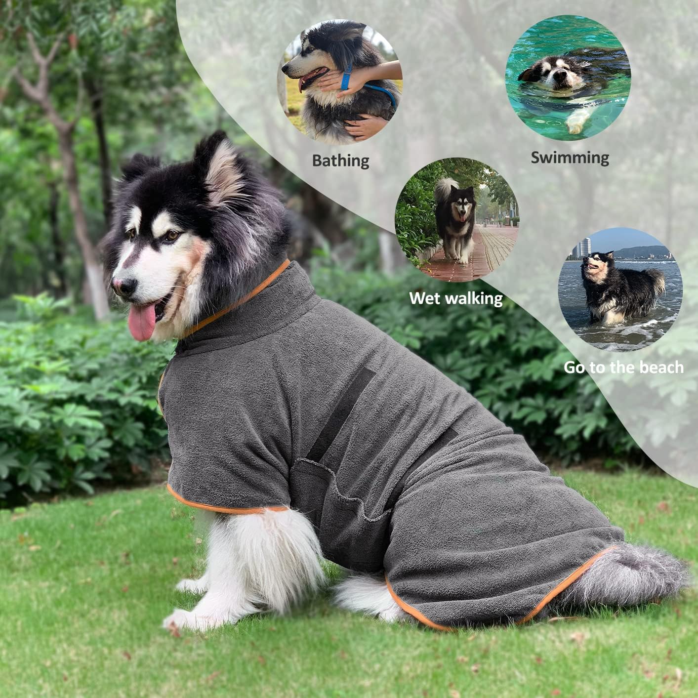 Grey dog bathrobe with orange piping and adjustable strap, worn comfortably outdoors.